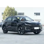 Neta X 500– Buy Direct From China | CarSaleChina - Image 5