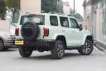 Tank 300 Time Traveler Compact SUV– Buy Direct From China | CarSaleChina - Image 2