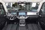 Tank 300 Time Traveler Compact SUV– Buy Direct From China | CarSaleChina - Image 4